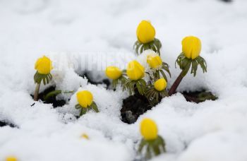 EA251528, Eastpress , Helsinki, Finland